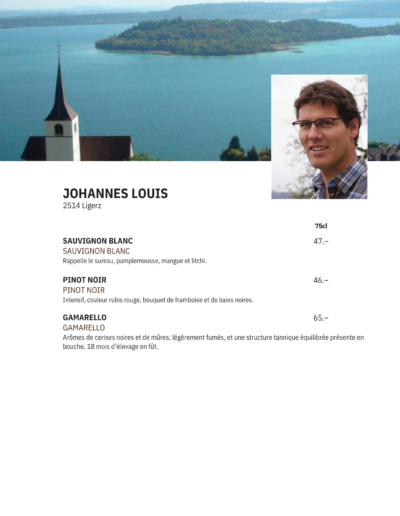 JOHANNES LOUIS
